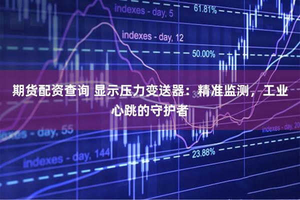 期货配资查询 显示压力变送器：精准监测，工业心跳的守护者